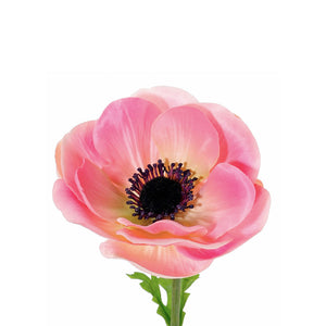 ANEMONA ROSADA L 43 CM