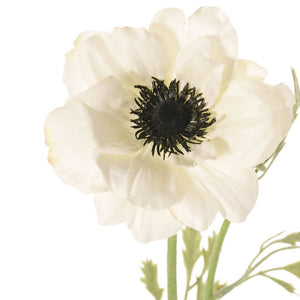 ANEMONA BLANCA 53CM