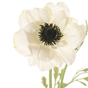 ANEMONA BLANCA 53CM