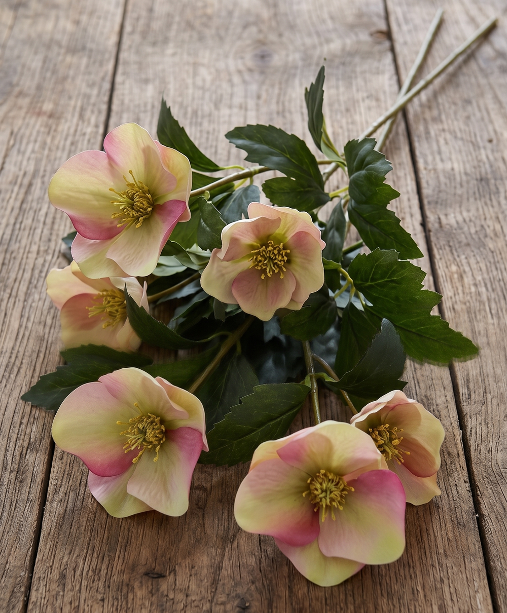 ELÉBORO ROSA/VERDE 45 CM