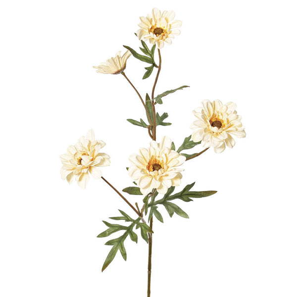 CRISANTEMO CREMA 75 CM