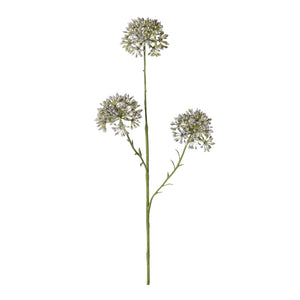 ALLIUM AZUL 65 CM