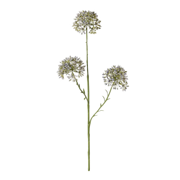 ALLIUM AZUL 65 CM