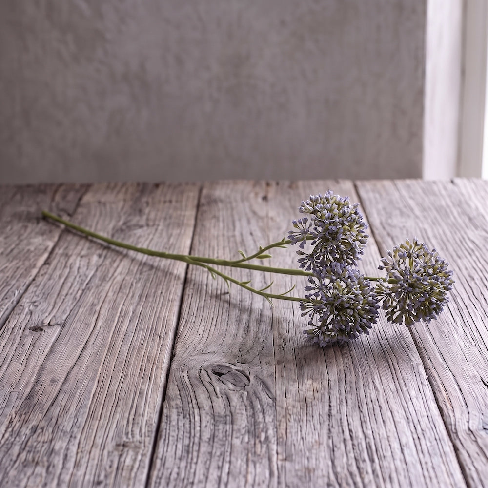 ALLIUM AZUL 65 CM