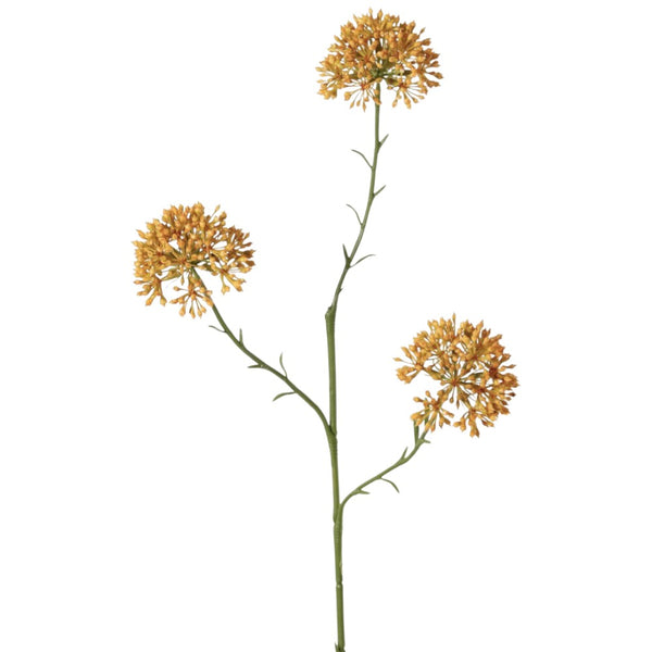 ALLIUM AMARILLO 65 CM