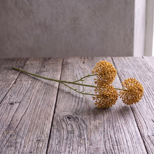 ALLIUM AMARILLO 65 CM