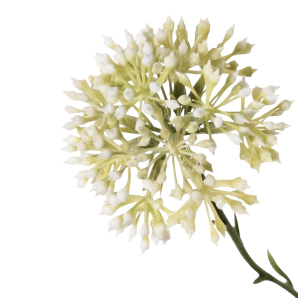 ALLIUM BLANCO 65 CM
