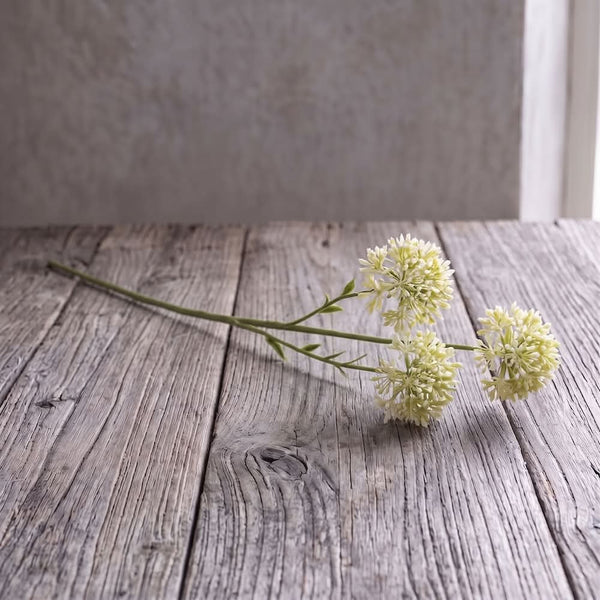 ALLIUM BLANCO 65 CM
