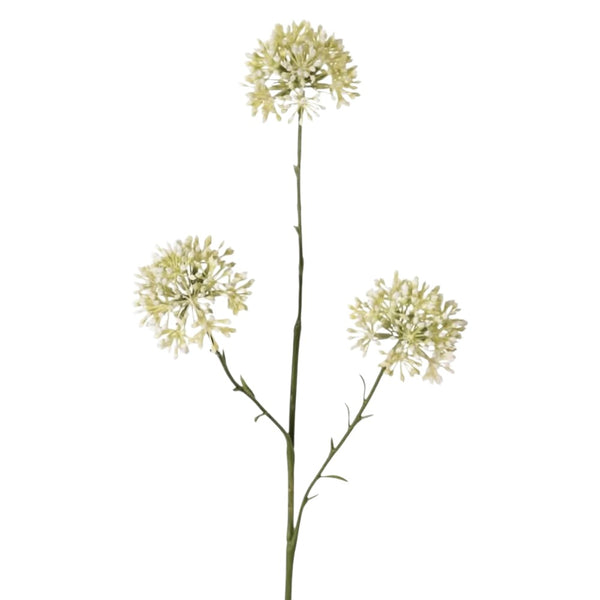 ALLIUM BLANCO 65 CM