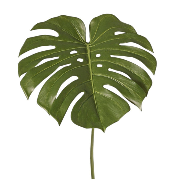 HOJA DE MONSTERA 60 CM