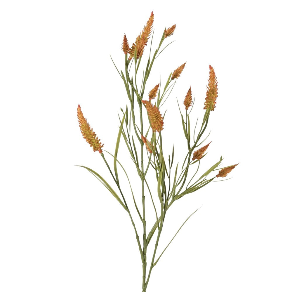 TREBOL DE HOJA ESTRECHA NARANJO  80CM