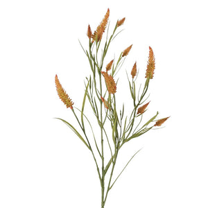 TREBOL DE HOJA ESTRECHA NARANJO  80CM