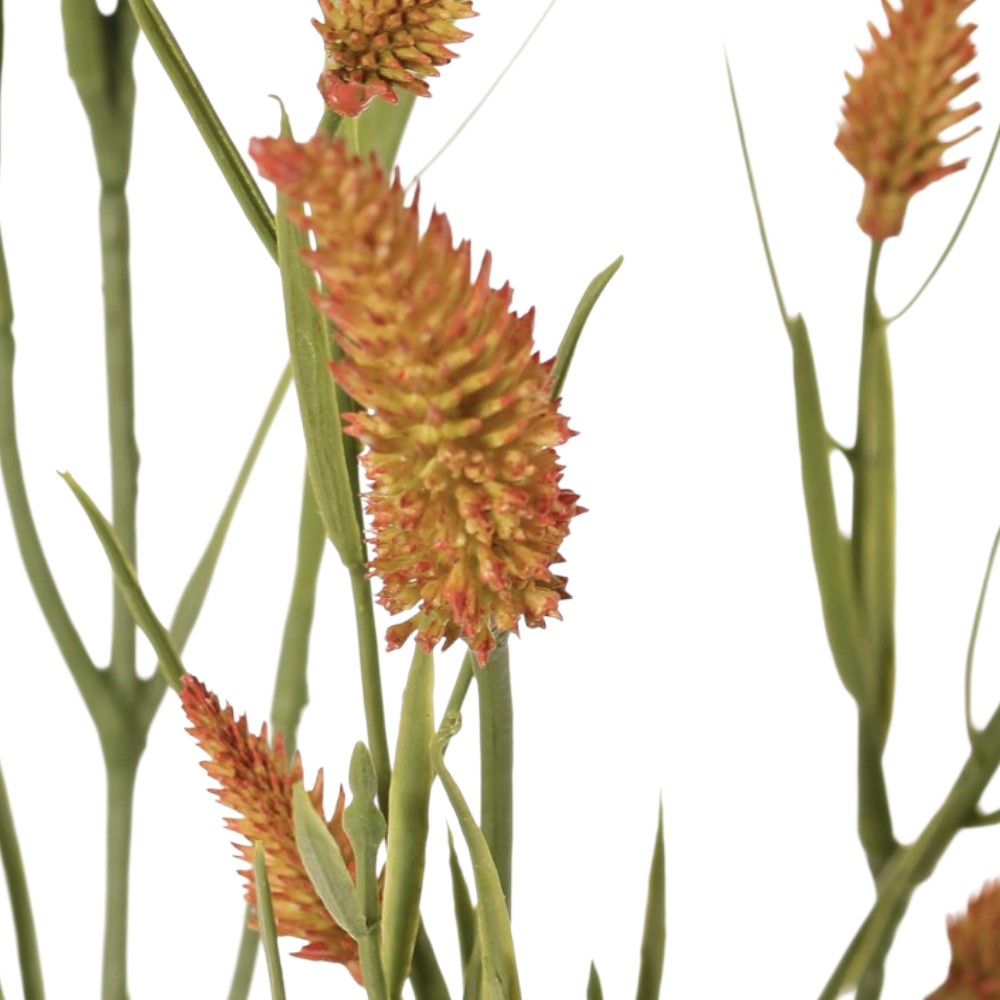 TREBOL DE HOJA ESTRECHA NARANJO  80CM