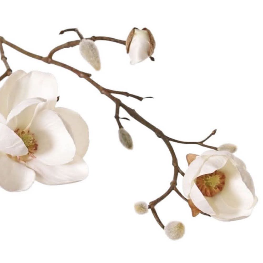 MAGNOLIA DOLLY CREMA 53 CM