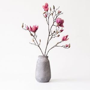 MAGNOLIA ROSA VIEJO 107 CM SOULANGEANA (4 FLORES)
