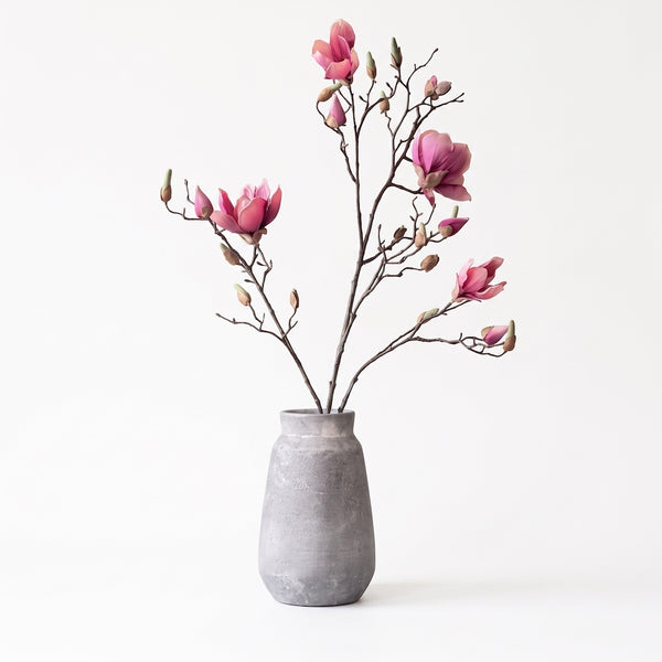MAGNOLIA ROSA VIEJO 107 CM SOULANGEANA (4 FLORES)