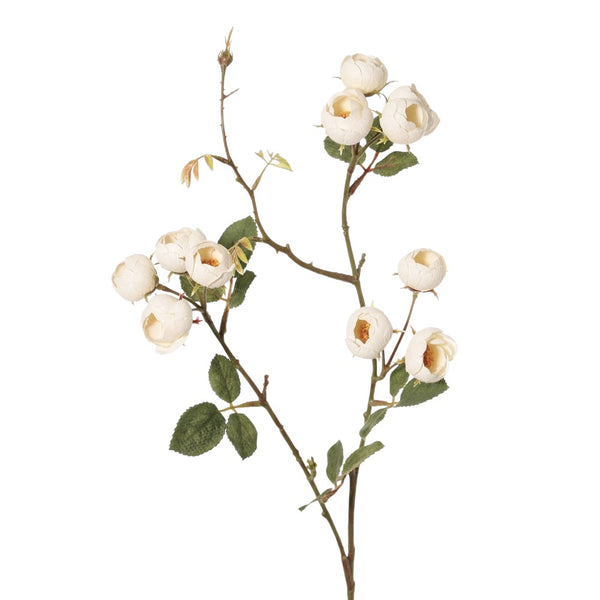 MINI ROSA CREMA 65 CM