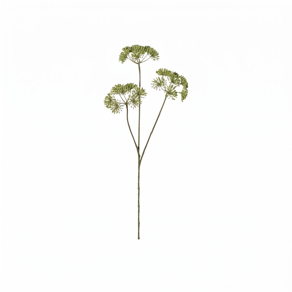 HERACLEUM 83 CM