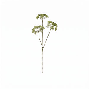 HERACLEUM 83 CM