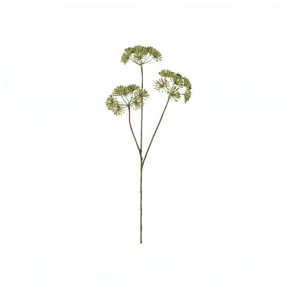 HERACLEUM 83 CM