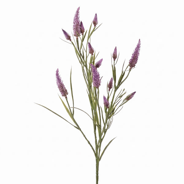 TREBOL DE HOJA ESTRECHA MORADO  80CM