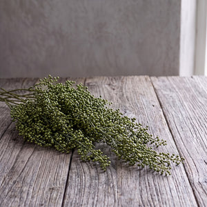 VARA COLGANTE SILVESTRE VERDE 70 CM