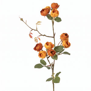 MINI ROSA NARANJA 65 CCM
