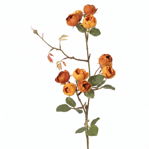 MINI ROSA NARANJA 65 CCM