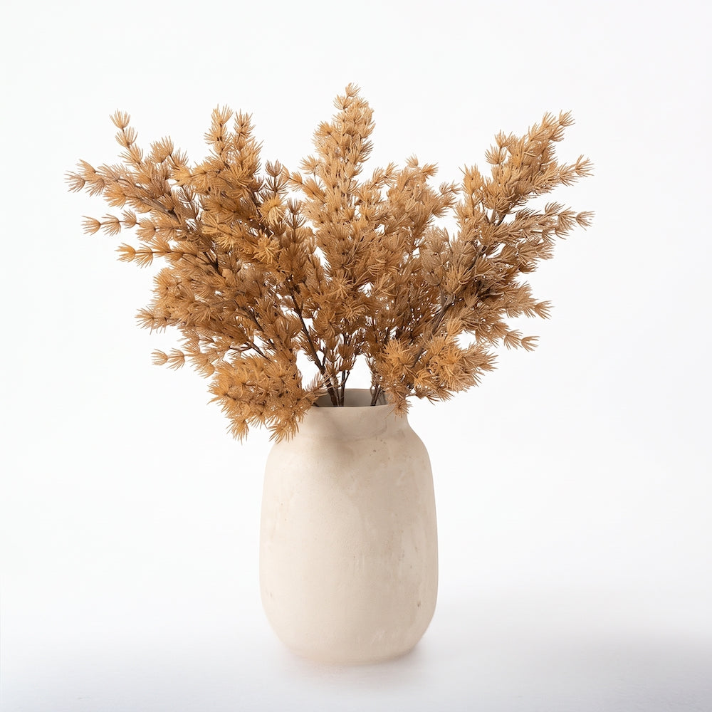 ASPARAGUS UMBELLATUS CAFE 75 CM