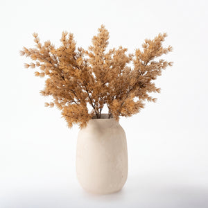 ASPARAGUS UMBELLATUS CAFE 75 CM
