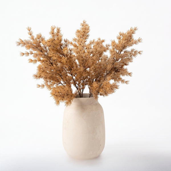 ASPARAGUS UMBELLATUS CAFE 75 CM