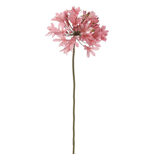 AGAPANTO ROSADO 88 CM