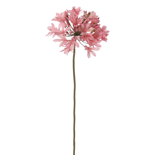 AGAPANTO ROSADO 88 CM