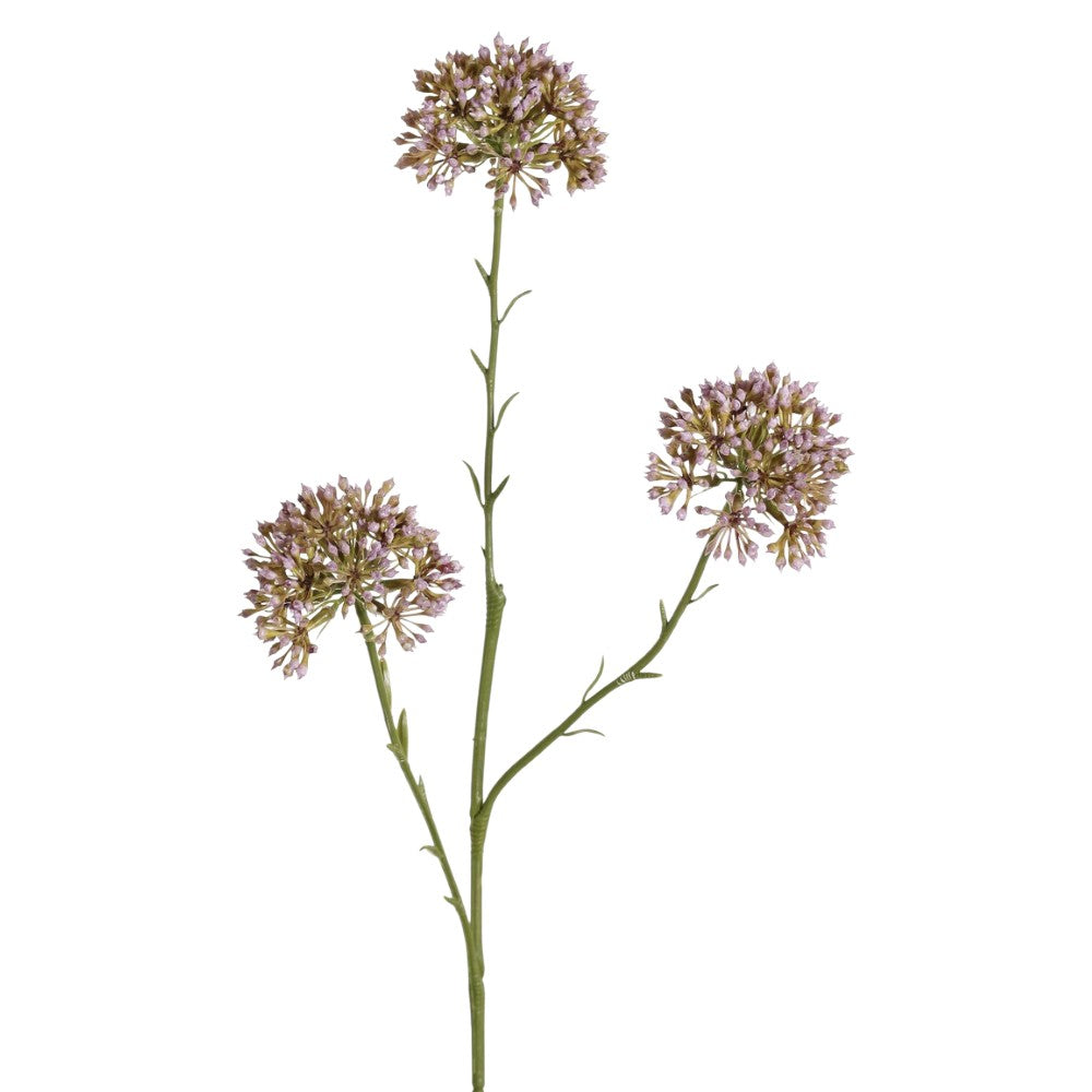 ALLIUM LILA 65 CM