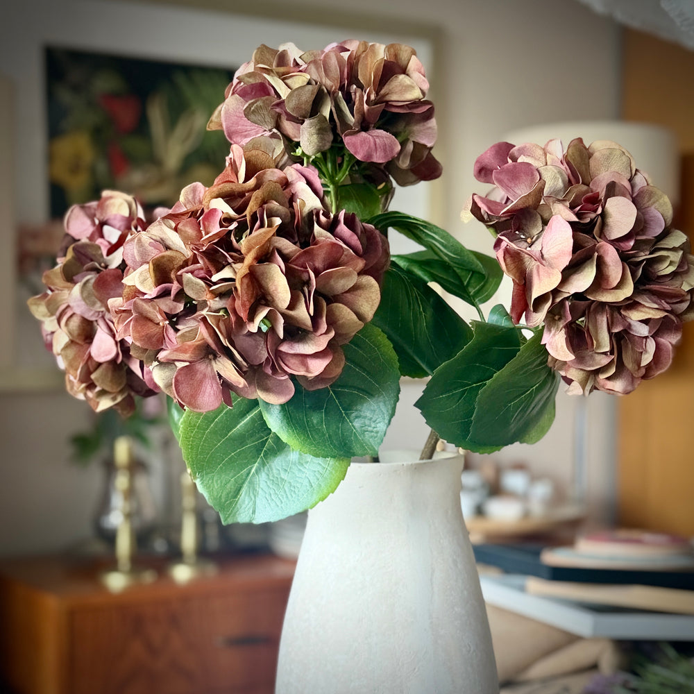 HORTENSIA CAFÉ 60 CM