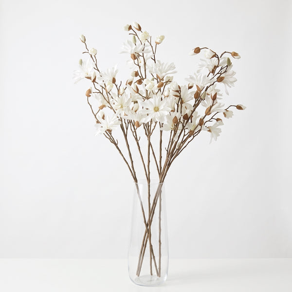 MAGNOLIA JAPONESA CREMA 104 CM