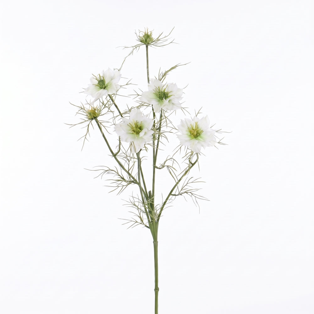 NIGELLA DAMASCENA BLANCA 66 CM