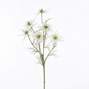 NIGELLA DAMASCENA BLANCA 66 CM