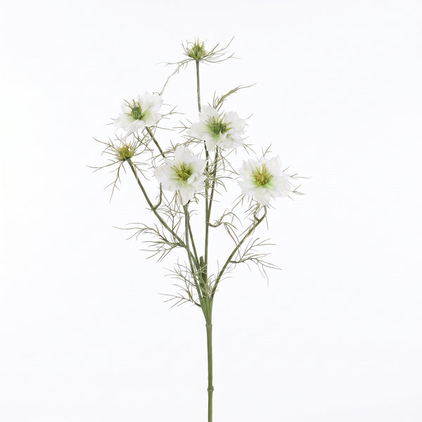 NIGELLA DAMASCENA BLANCA 66 CM
