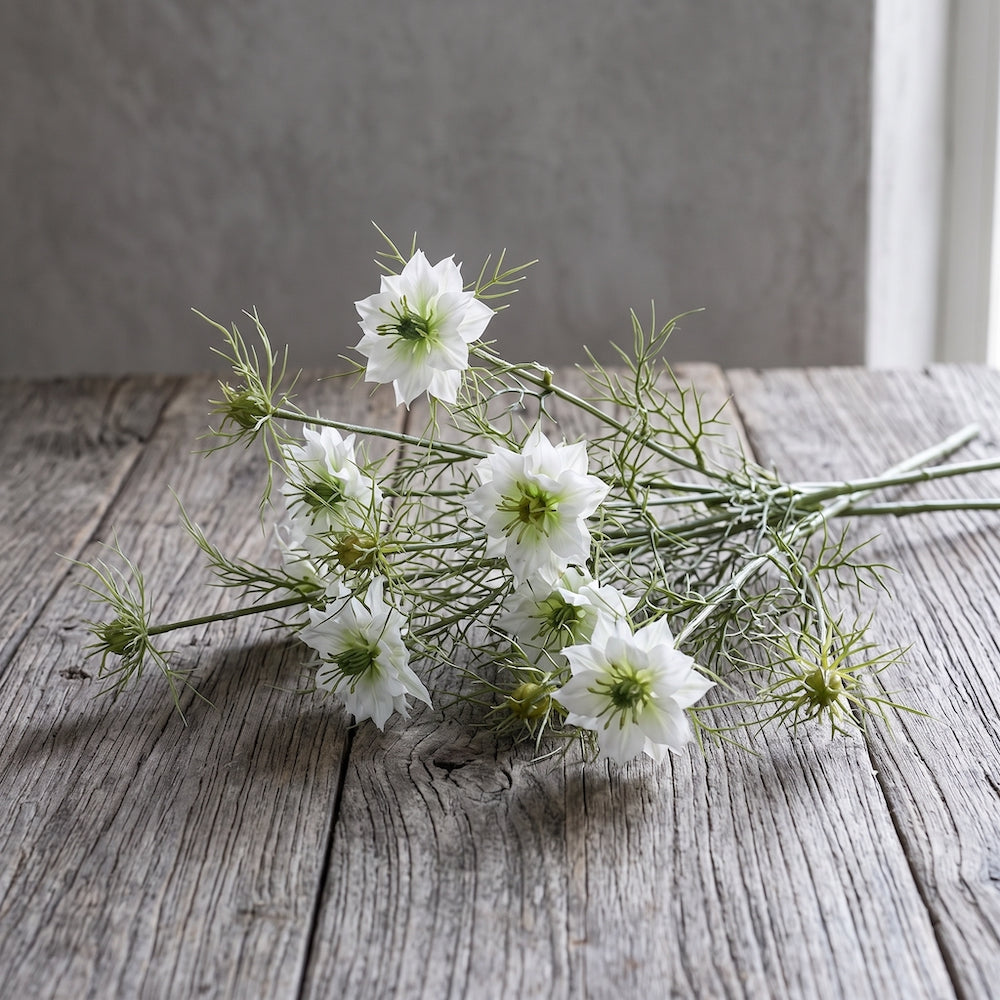 NIGELLA DAMASCENA BLANCA 66 CM