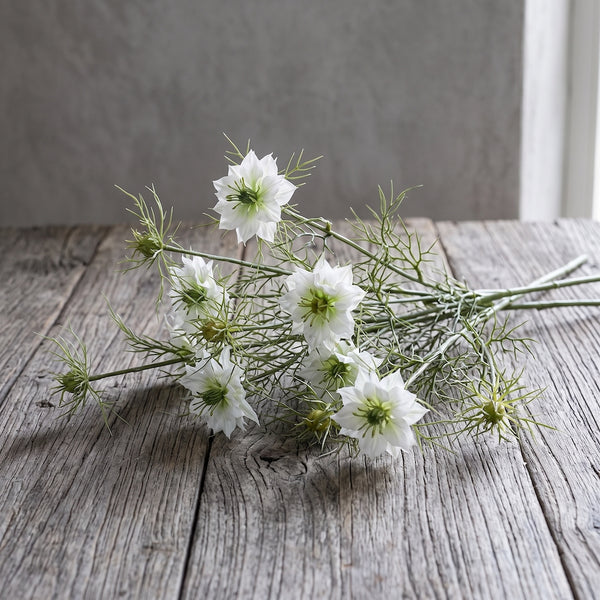 NIGELLA DAMASCENA BLANCA 66 CM