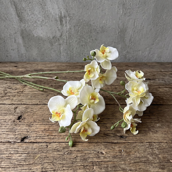 ORQUÍDEA MINI BLANCA 3 VARAS 63 CM