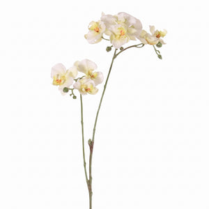 ORQUÍDEA MINI BLANCA 3 VARAS 63 CM