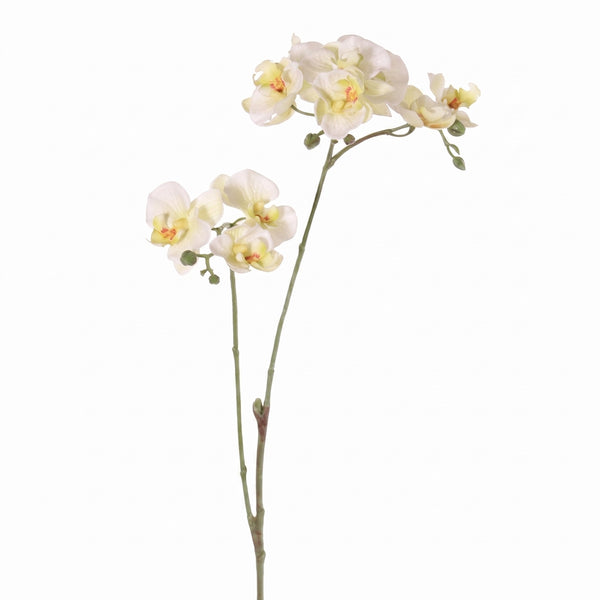 ORQUÍDEA MINI BLANCA 3 VARAS 63 CM