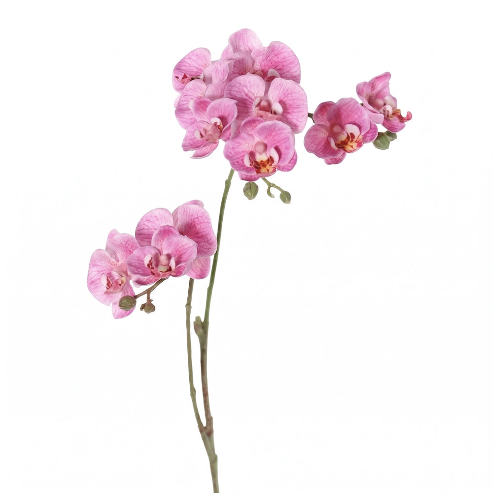 ORQUÍDEA MINI FUCSIA 3 VARAS 63 CM