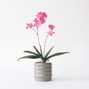 ORQUÍDEA MINI FUCSIA 3 VARAS 63 CM