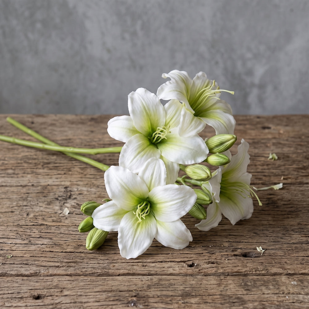 LIRIO BLANCO 65 CM