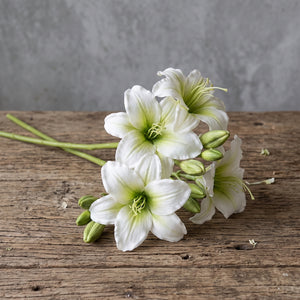 LIRIO BLANCO 65 CM