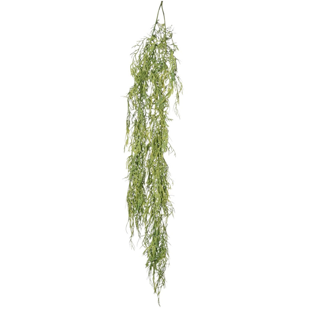 ASPARAGUS COLGANTE 112 CM