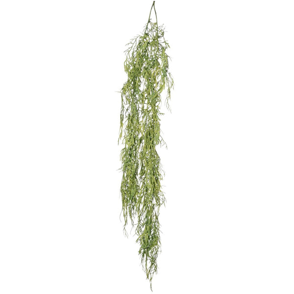 ASPARAGUS COLGANTE 112 CM